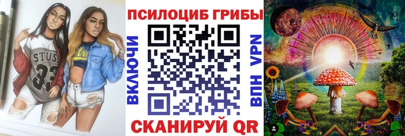 Псилоцибиновые грибы мухоморы  Сыктывкар 